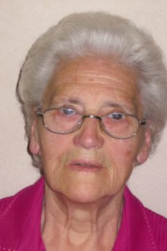 Wiske Vleminx
