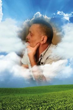 Ronny Meyvis